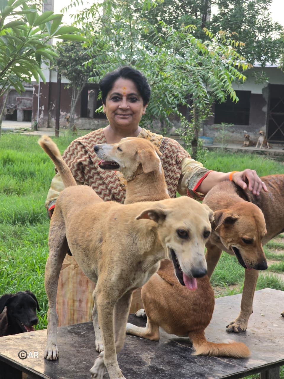 Founder with rescued dogs